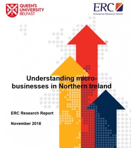NI micro business